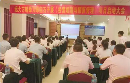 遠大方略助力肇慶綠寶石電子科技股份（831804）落地《年度經營規劃與預算管理》改善項目